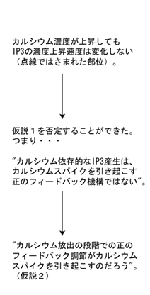 （図４）急激なカルシウム濃度上昇とIP3濃度変動