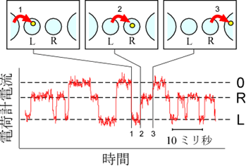 図２　単電子カウンティングの測定例