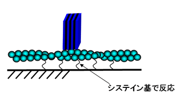 図２