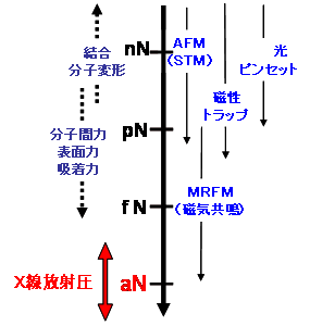 図７