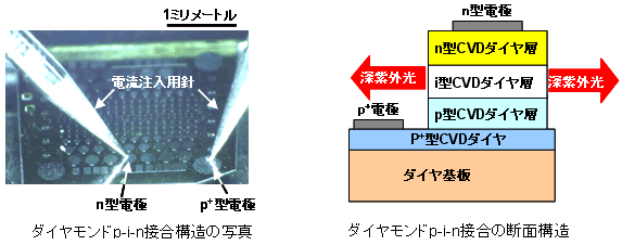 （左）ダイヤモンドp-i-n接合構造の写真　（右）ダイヤモンドp-i-n接合の断面構造