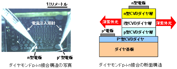 (左)ダイヤモンドp-i-n接合構造の写真 (右)ダイヤモンドp-i-n接合の断面構造