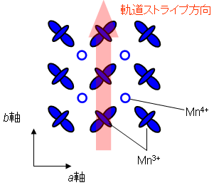 図１　軌道ストライプの模式図