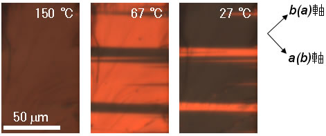 図４　偏光顕微鏡でとらえた光の反射の偏光特性の逆転現象