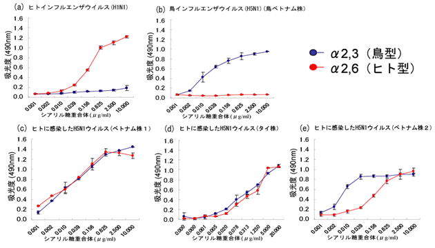 図3. H5N1インフルエンザウイルスのレセプター特異性の解析