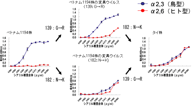 図４(b)タイ株に見られる変異の重要性の解析