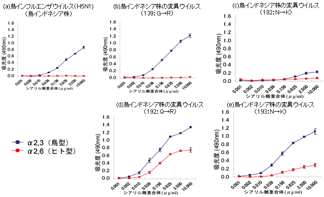 図５. クレード2に属するH5N1鳥インフルエンザウイルスへのアミノ酸変異導入結果