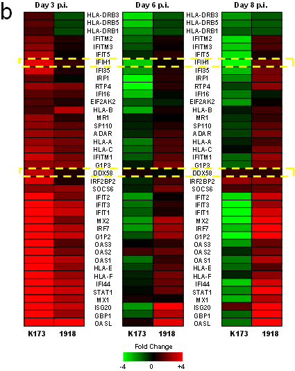 図４(b)