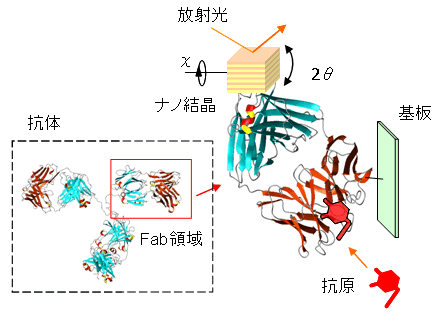 図２