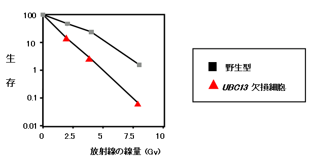 図６