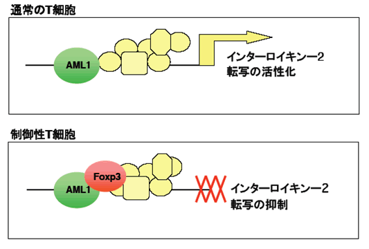 図４