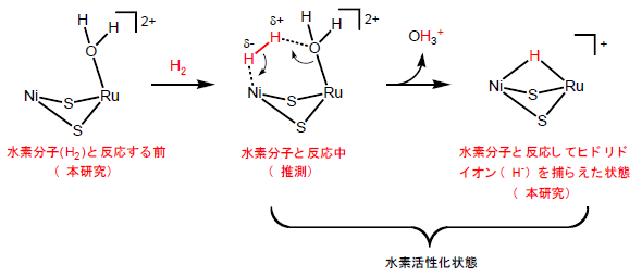 注４