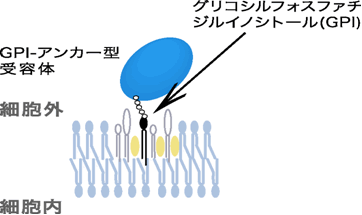 図１