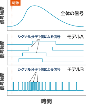 図５