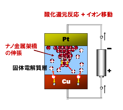 図１