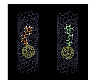 カーボンナノチューブに閉じ込められたレチナール分子。左：シス形、右：トランス形