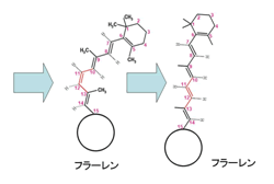 図３　電子顕微鏡で撮影されたカーボンナノチューブ内のレチナール分子とその模式図