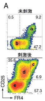 図２