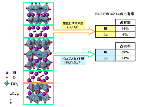 図２　BiTの結晶構造とBLTにおけるビスマス/ランタン（Bi/La）占有率