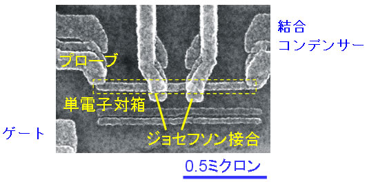 図1