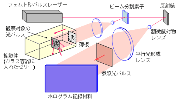 図2　フェムト秒光パルス伝播の3次元像の動画を記録するための実験システムの概要