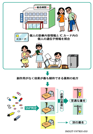 図1　SNP（一塩基多型）とSNP頻度情報の応用について