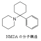 NMDAの分子構造