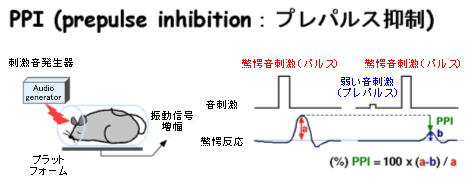 図1　PPIの測定方法