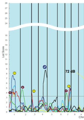 図3　マウス1,010匹のQTL解析の結果