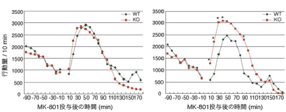 図8　MK-801（NMDA受容体の拮抗薬）投与で誘発される行動量