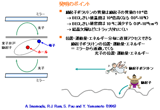 図１．エキシトンポラリトンとボーズアインシュタイン凝縮