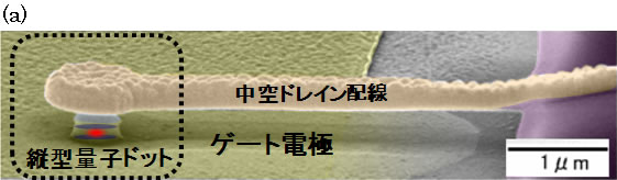 図１　中空ドレイン配線MOS構造縦型量子ドットの走査型電子顕微鏡像(a)