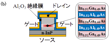 図１　縦型量子ドット部分の断面模式図(b)