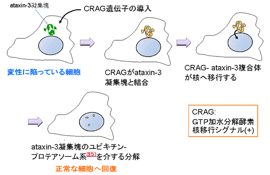 図1