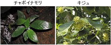 図1