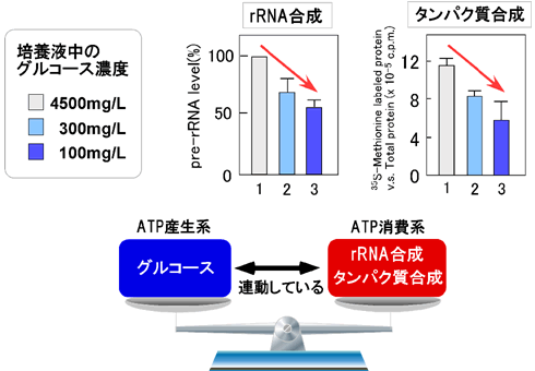 図2