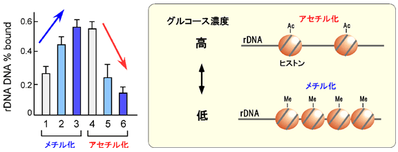 図3