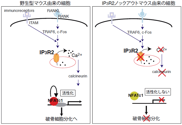 図2