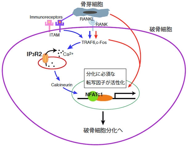 図3