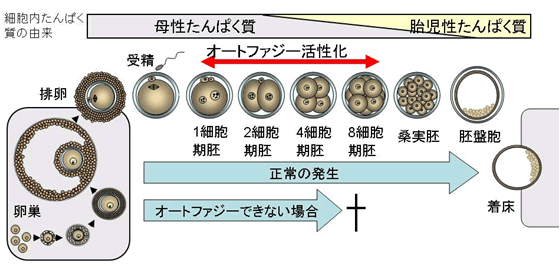 図3