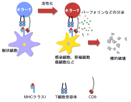 図1