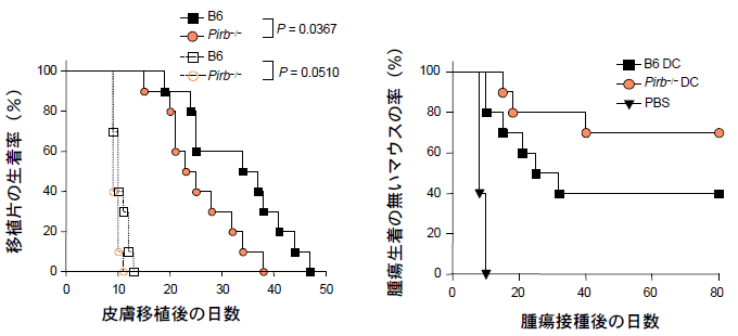 図2