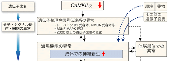 図7