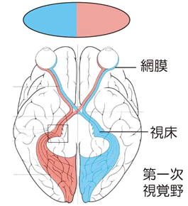 注2