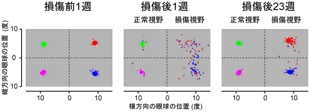 図2