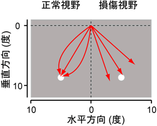 図3