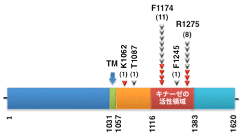 図2