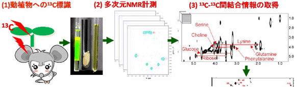 図2