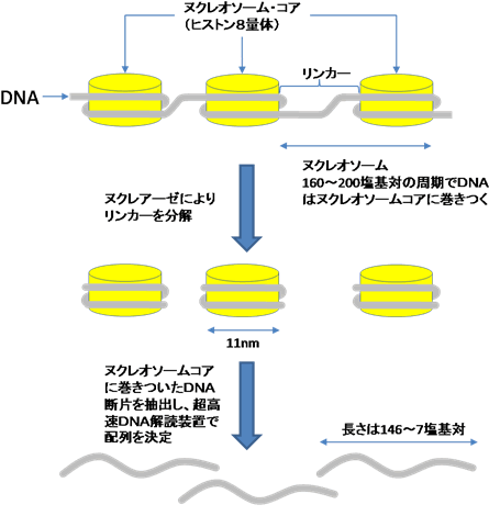 図1