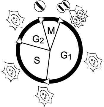 図1